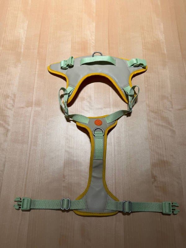 Шлейки, поводок, клетка и игрушки для собаки 1