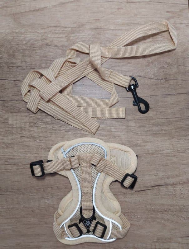 Шлейка для кошек и собак мелких пород XS бежевый, коричневый 2