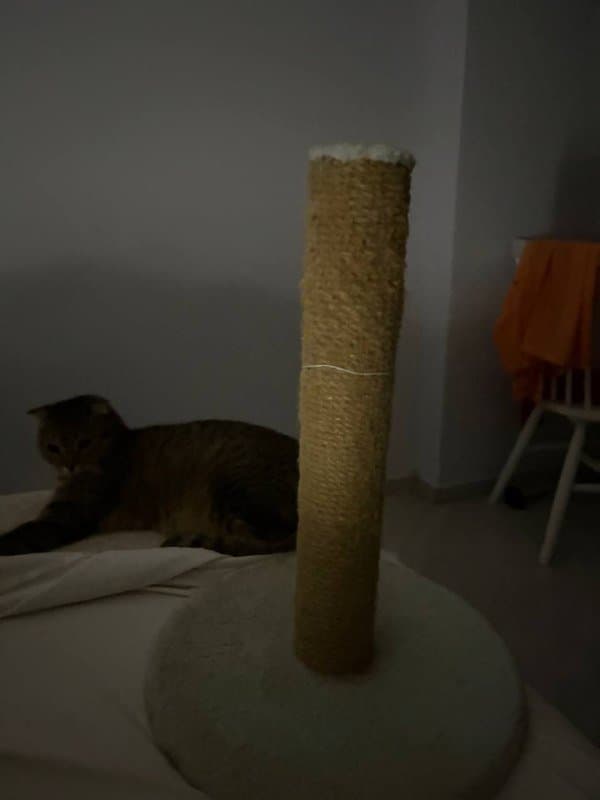 Когтеточка