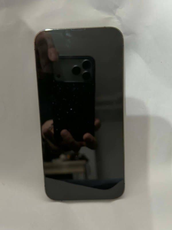 iPhone 13 Pro Max Silver 2