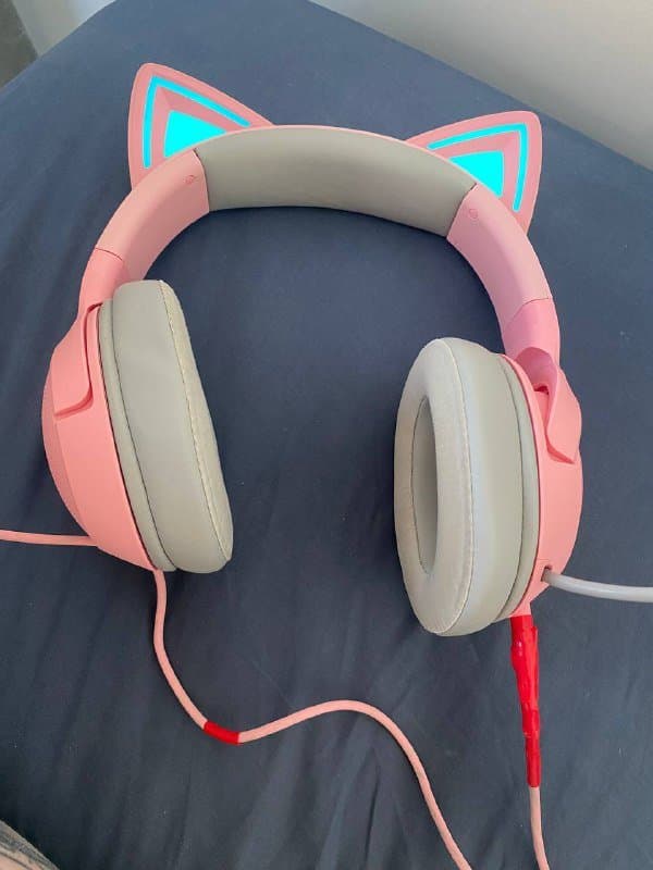 Валик для спины, драцена, гейнер Serious Mass, наушники Sony, Razer, Airpods Pro 3