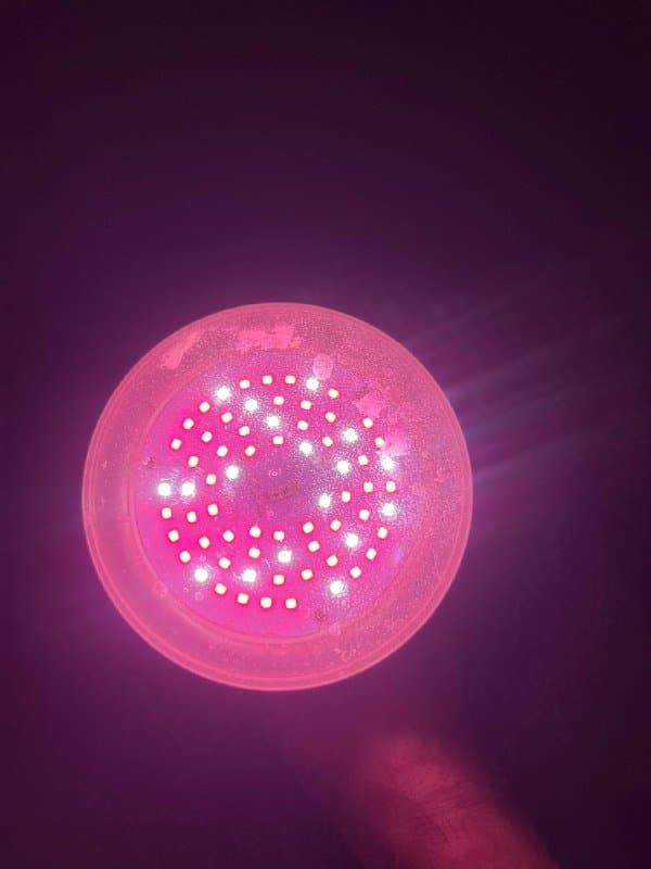 Фитолампа для растений 4