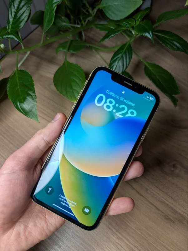 IPhone XR 128 ГБ жёлтого цвета