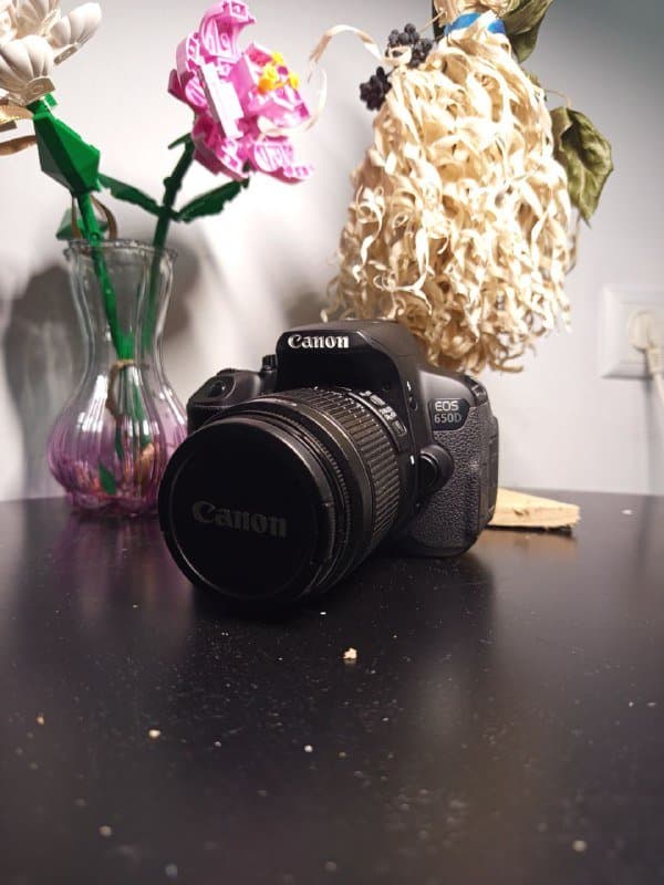 Фотоаппарат Canon EOS 650D, аксессуары 1