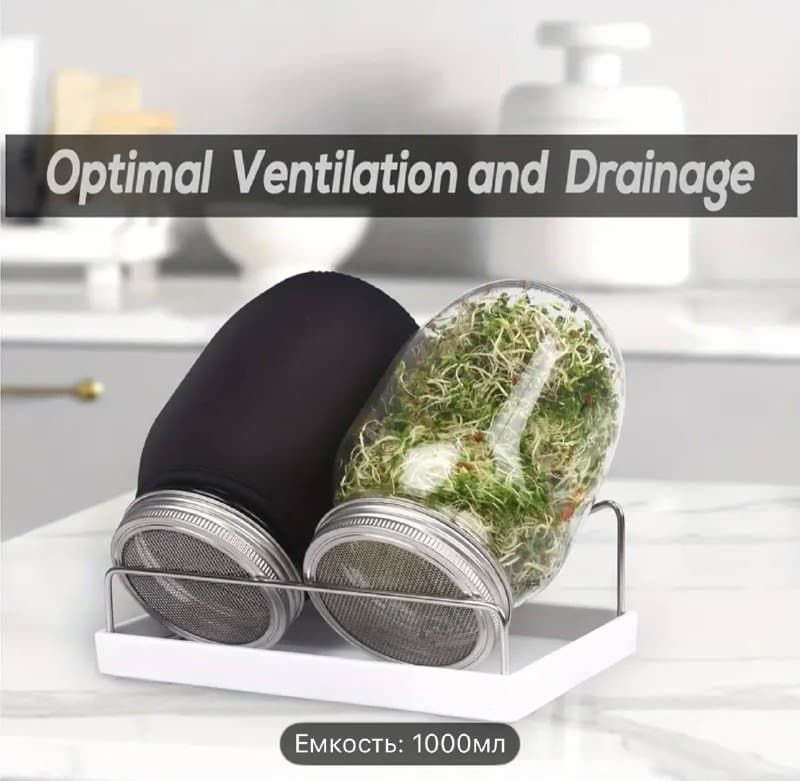 Набор для проращивания микрозелени микрогрина 6