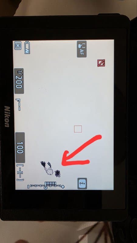 Фотоаппарат Nikon Z6 5