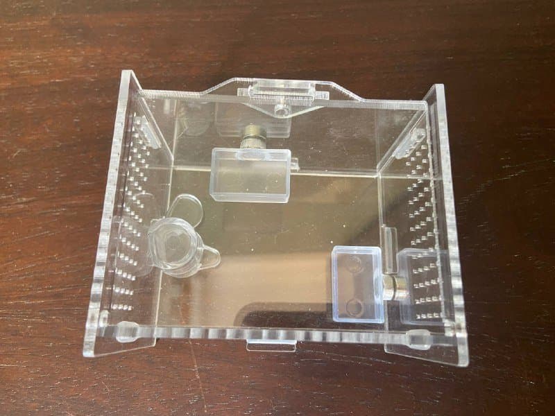 Фармикарий для паука прыгуна 2