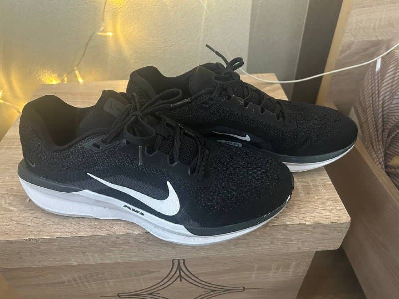 Кроссовки мужские Nike Winflo 11