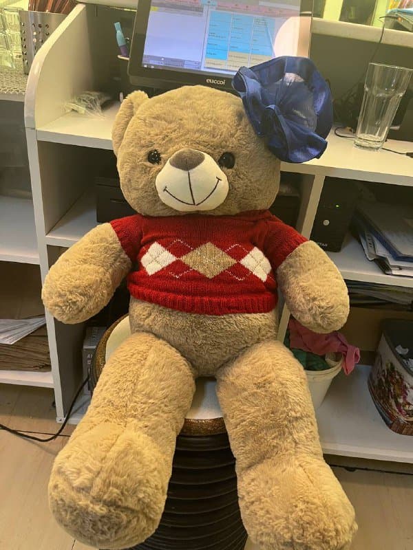 Плюшевый медведь игрушка с шапкой