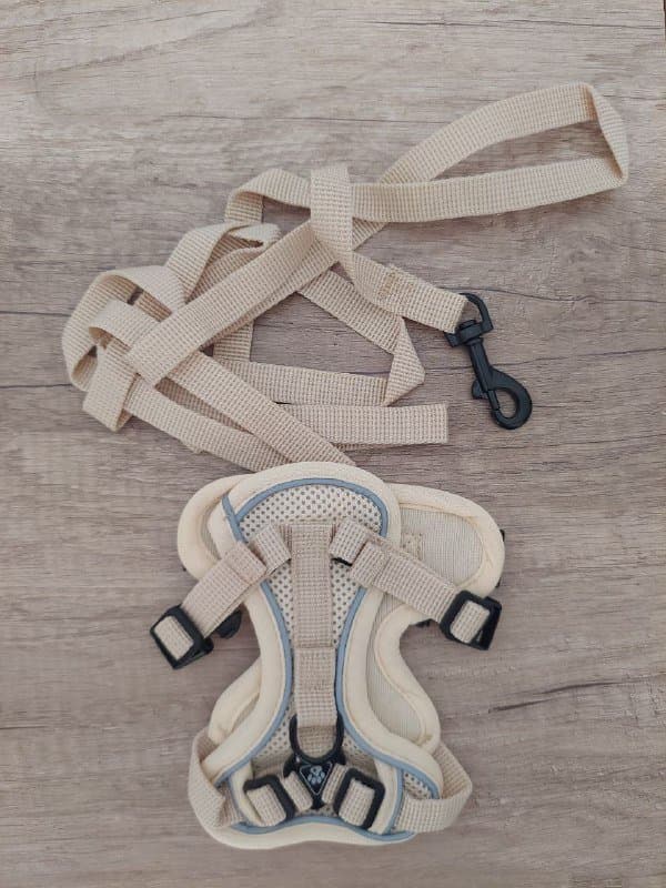 Шлейка для кошек и собак мелких пород XS бежевый, коричневый 1