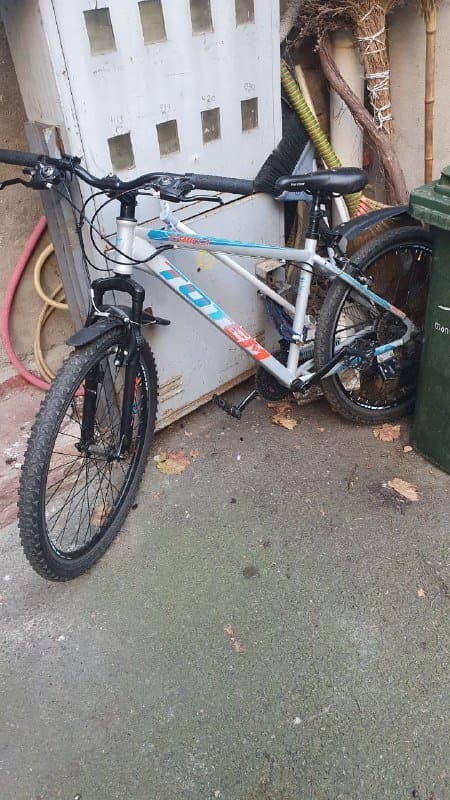 Велосипед Totem Camilla 1