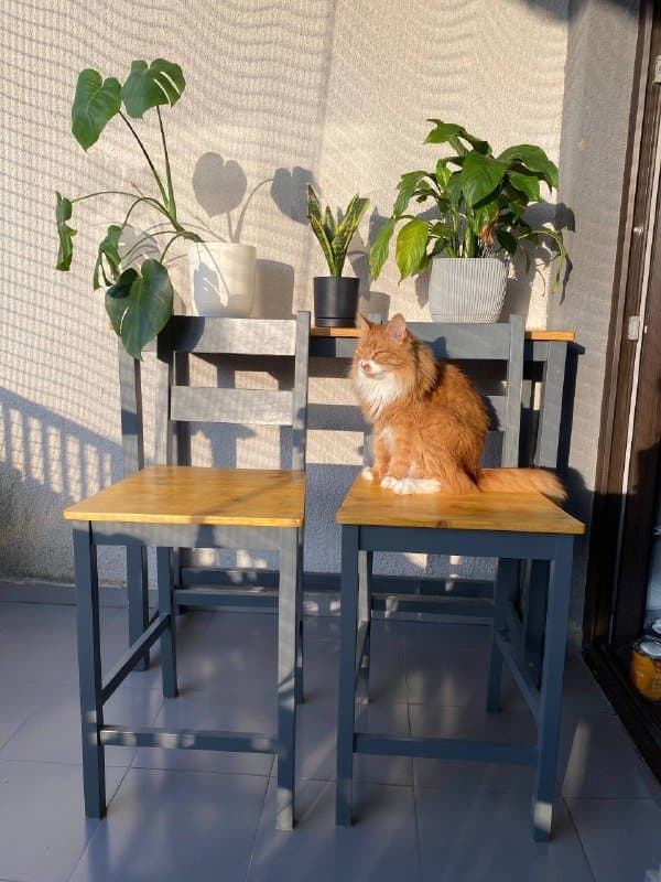 Высокий деревянный стол и 2 стула