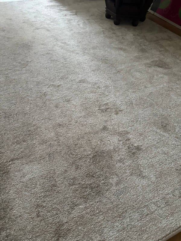 Ковер Zara home 160x230 5