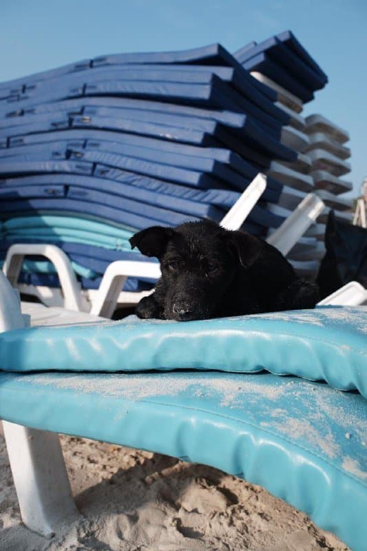 Fujifilm XF10 компактная цифровая камера 7