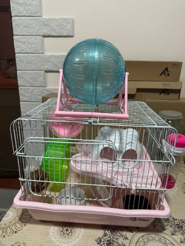 Клетка для хомяка с аксессуарами