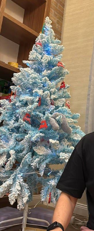 Голубая ёлка высота 145 см