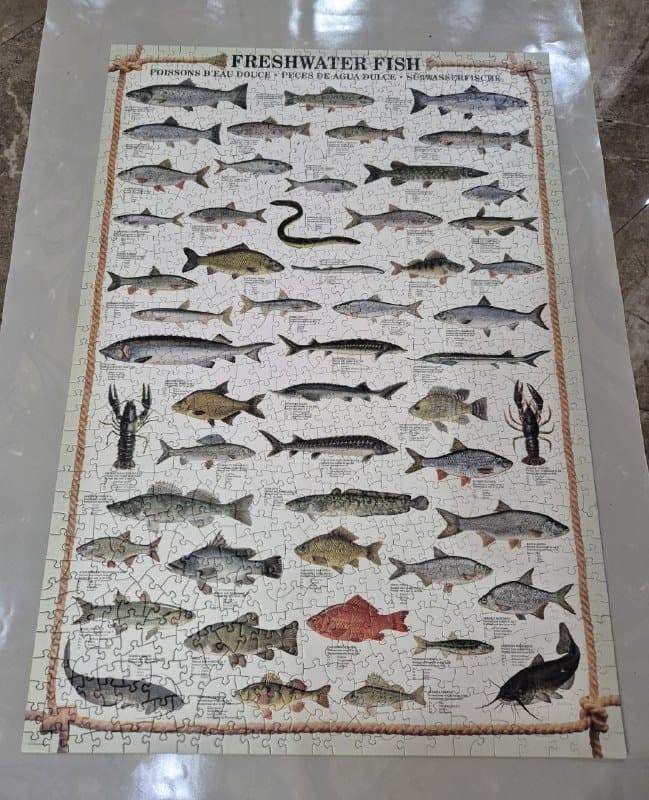 Пазл Eurographics Freshwater fish 1000 элементов 8