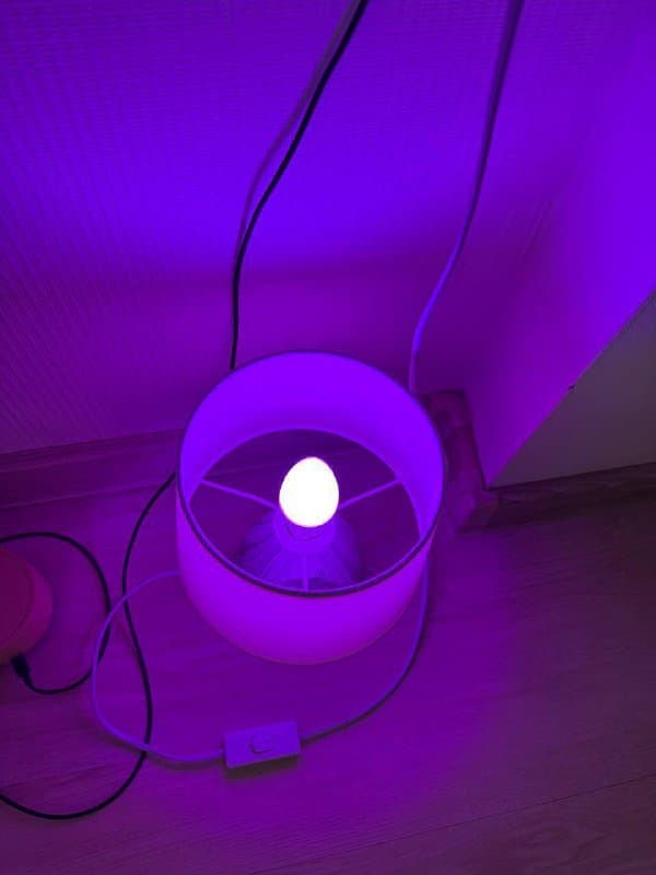 Смарт лампочка E14 с регулировкой цвета 2