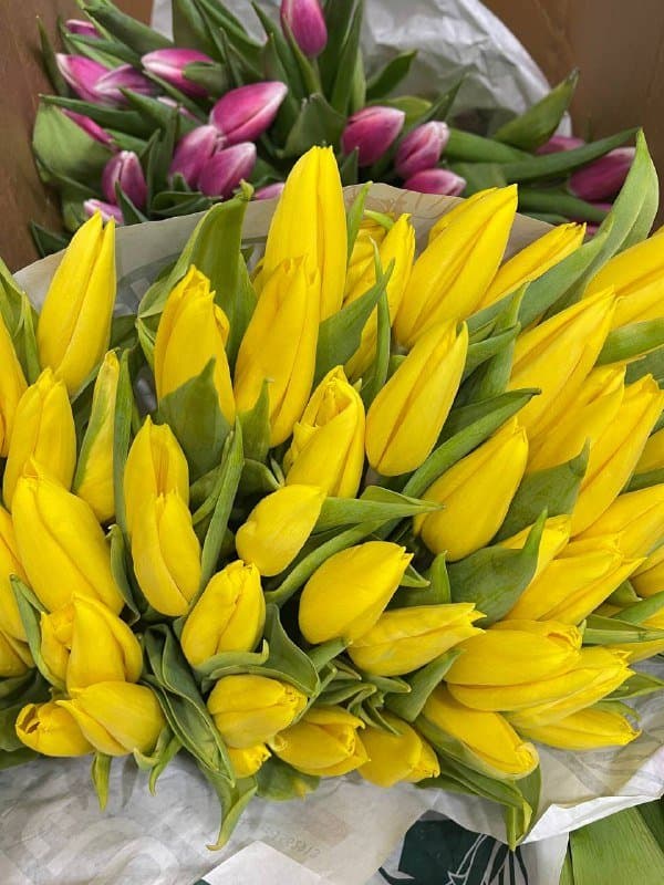 Хризантема одноголовая, кустовая, тюльпаны, эустома, букеты