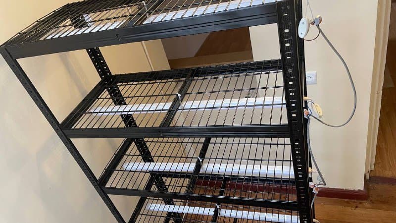 Стеллаж для выращивания цветов с лампами 2