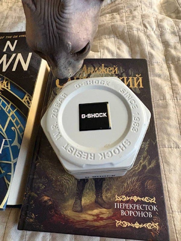 Книги Dan Brown, Анджей Сапковский 3