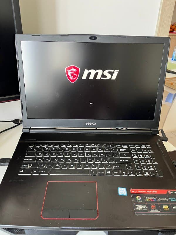 Игровой ноутбук MSI GE73 Raider RGB 8RE