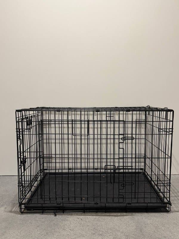 Шлейки, поводок, клетка и игрушки для собаки 7