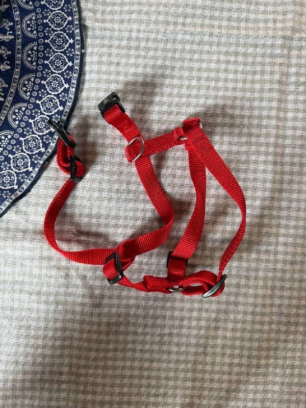 Куртка для собаки, шлейка анатомическая, рулетка xs 3 метра 2