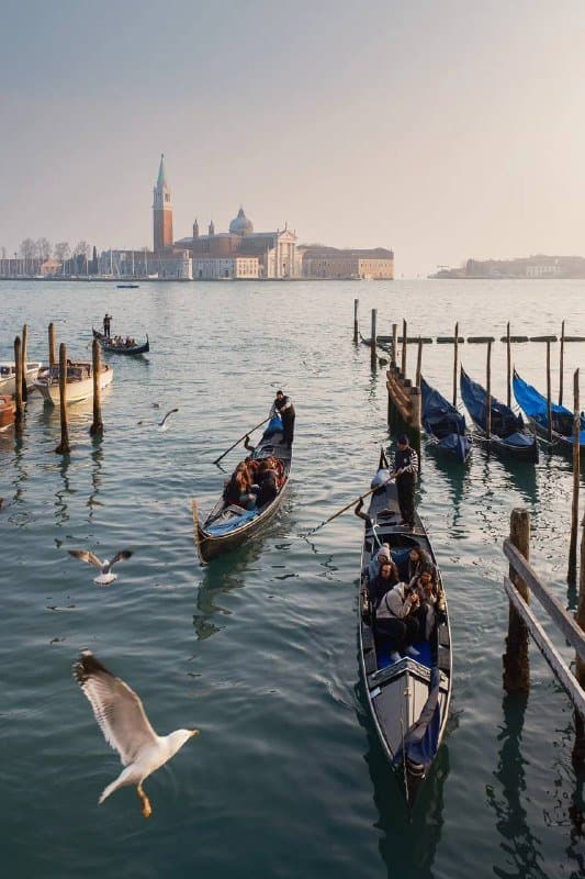 Фотоаппарат Fujifilm X100V Black Noir 7