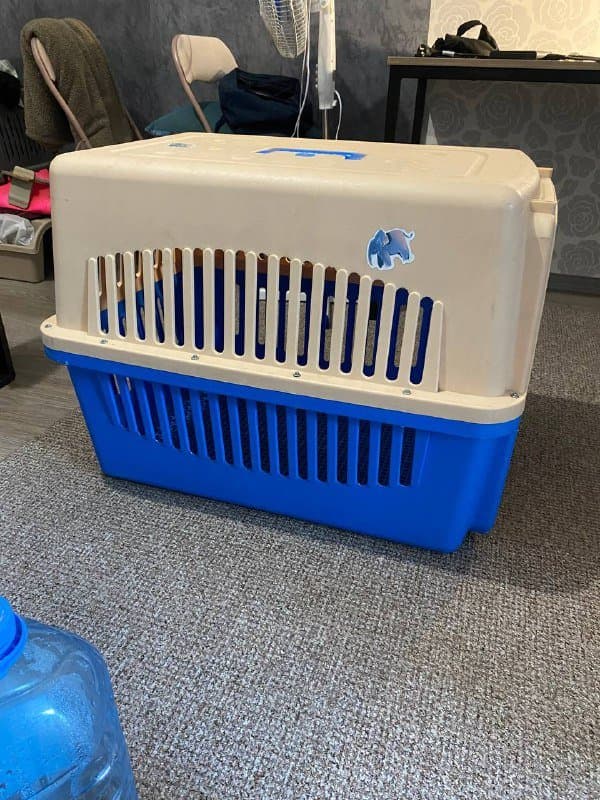 Авиабокс для собак 4