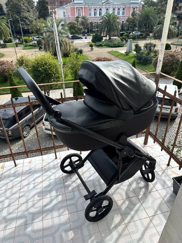 Коляска Anex Eli 7