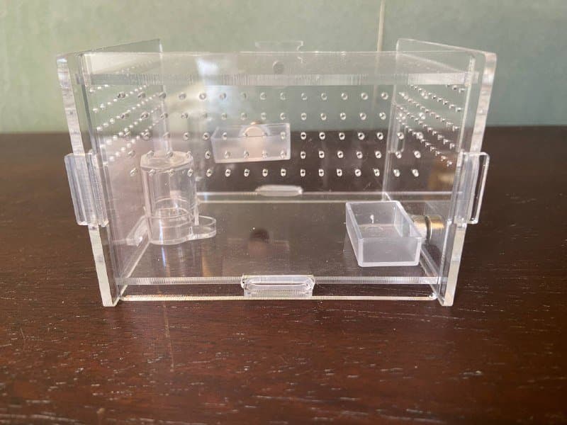 Фармикарий для паука прыгуна 1