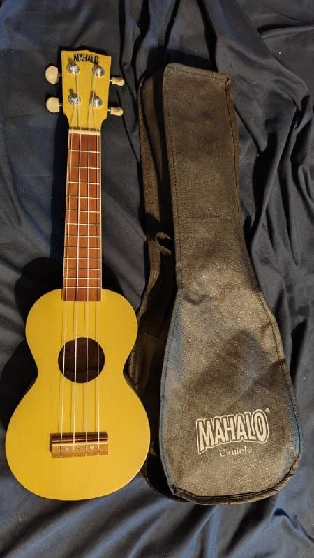 баскетбольный и регбийный мячи