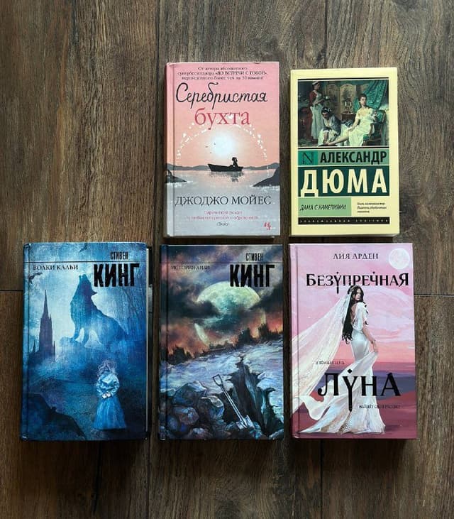 Книги: Серебристая Бухта, Дама с камелиями, Волки Кальи, История Лизи, Безупречная Луна
