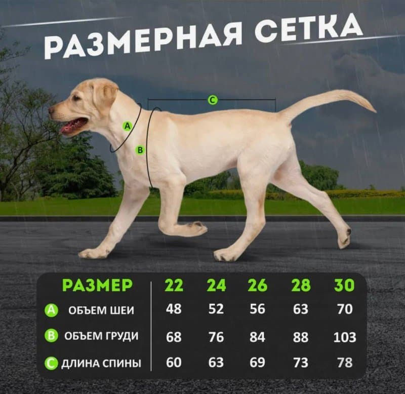 Унисекс дождевик для больших собак размер 30 2