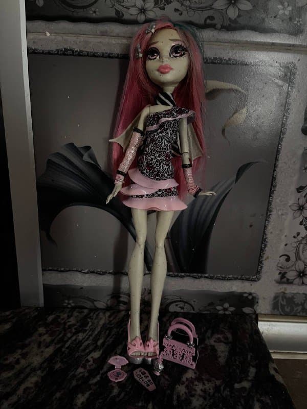 Кукла Monster High Рошель с аксессуарами
