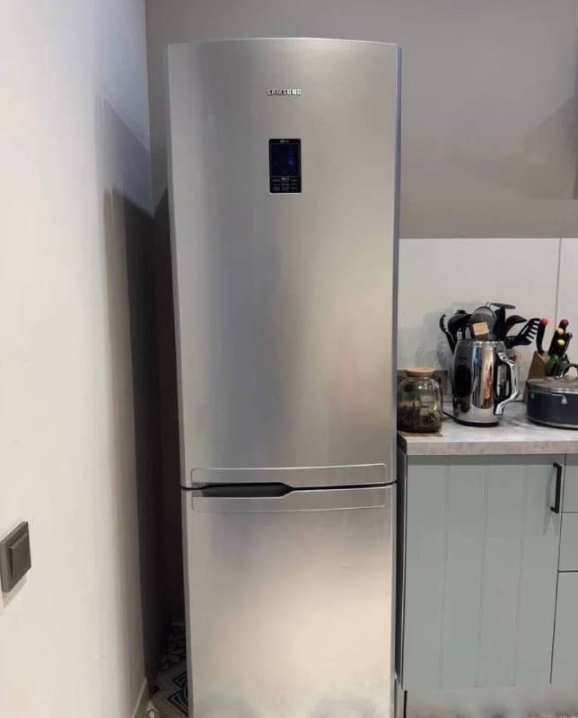 Холодильник Samsung RL52TEBIH1 серебристый 1