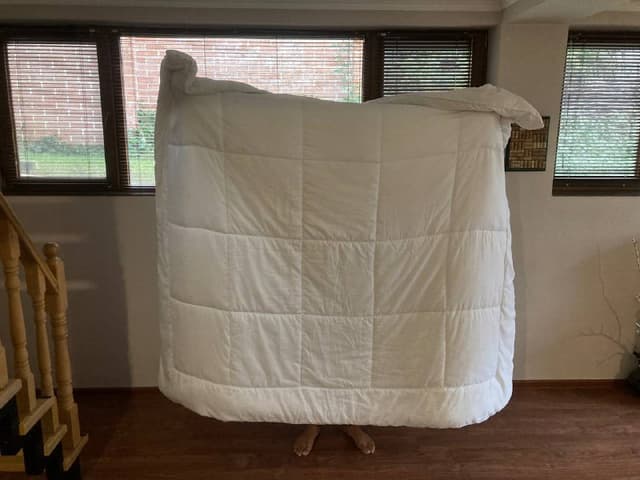 Одеяло и комплект постельного белья