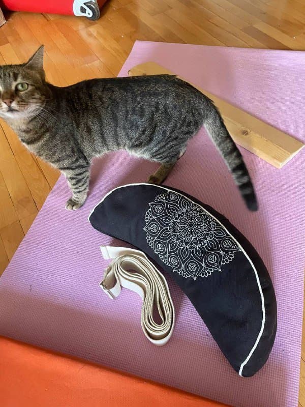 Стул для йоги, подушка для медитации, подставка, ремень, планка