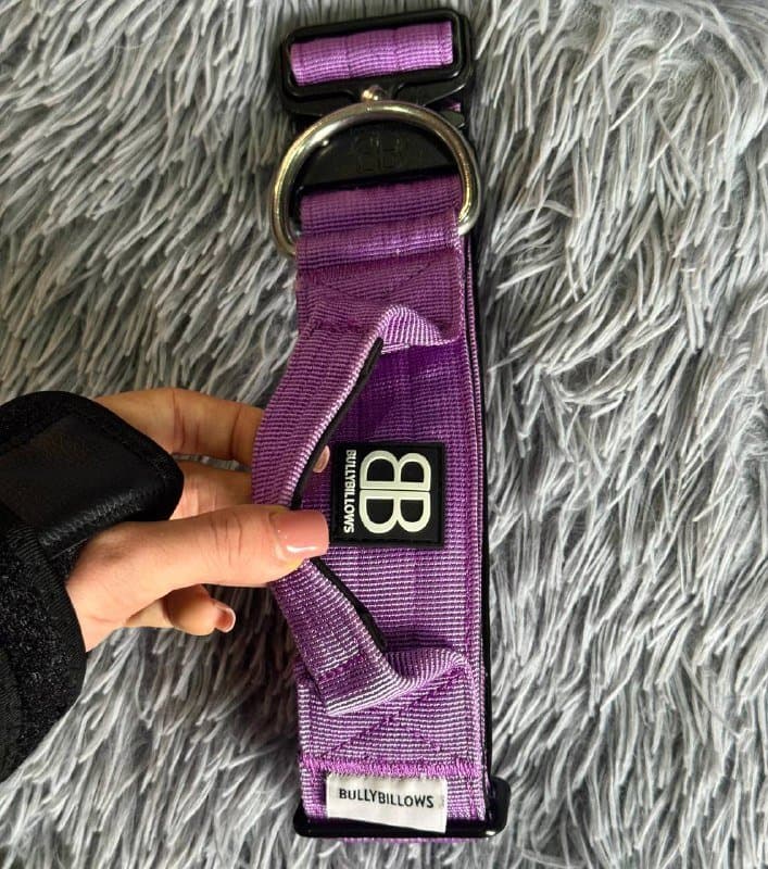 Ошейник Bullybillows Combat Collar для больших собак 1