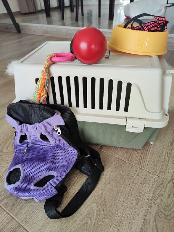 Переноска твердая, рюкзак-переноска, игрушки, миска, шлейка и поводок