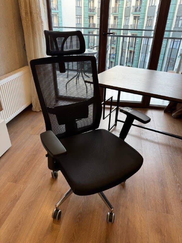 Стол, компьютерный стул, 2 фикуса с землей 3
