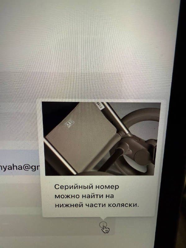 Коляска ANEX Flo Yuki 2 в 1 2