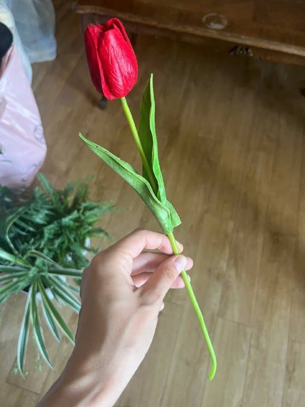 Мини ведерко, тазик, бахилы, пододеяльник, мишка, очки, бутылка, купальник, платье, кофточка, кофта 2