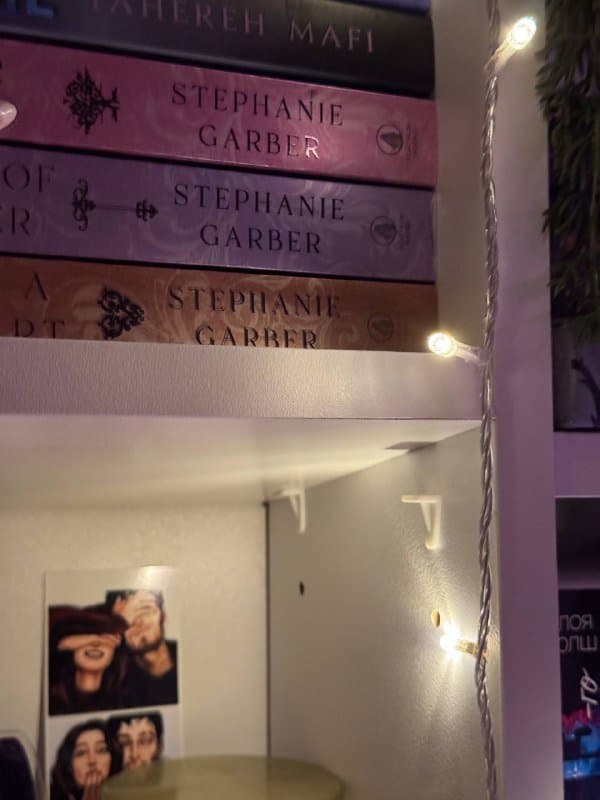 книжный стеллаж 2