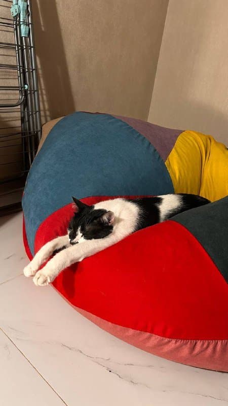 Пуфик для возлежания 1