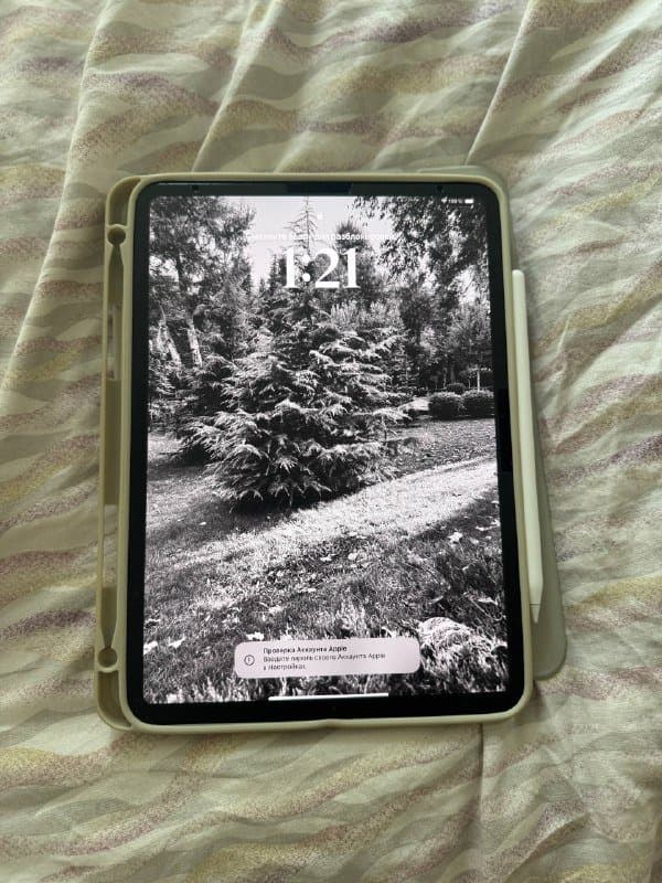 iPad Pro 11 поколения, Apple Pencil, чехол 2