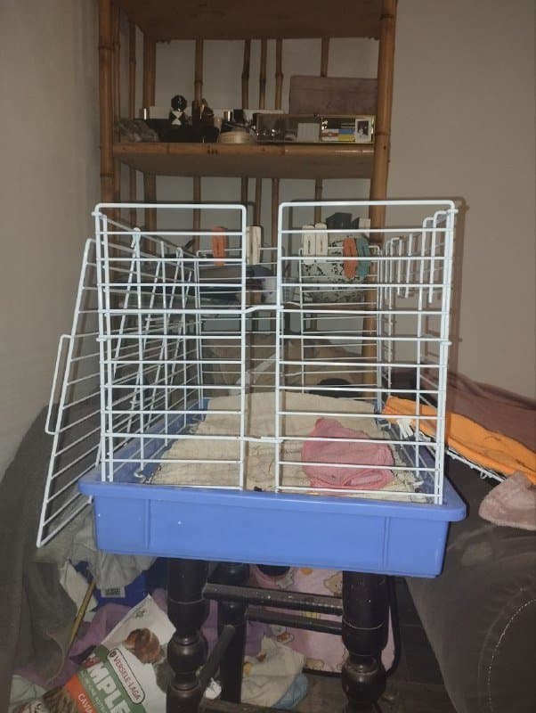 Клетка для грызуна, переноска, мисочки, средства от паразитов