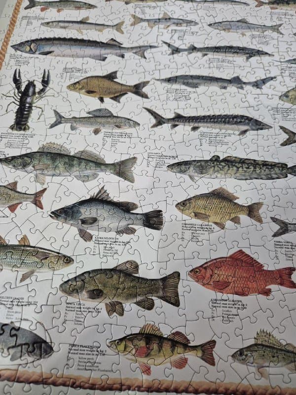 Пазл Eurographics Freshwater fish 1000 элементов 5