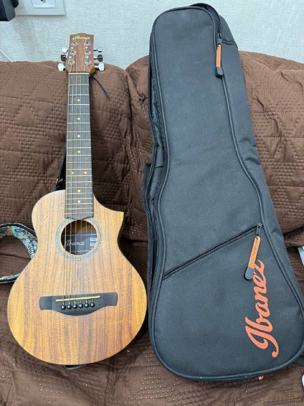 Электроакустическая гитара Ibanez EWP12EWB-OPN
